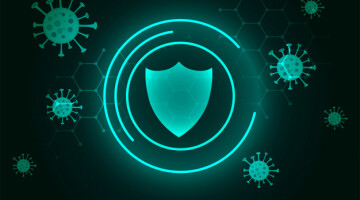 Учёные выяснили, как коронавирус инфицирует клетки